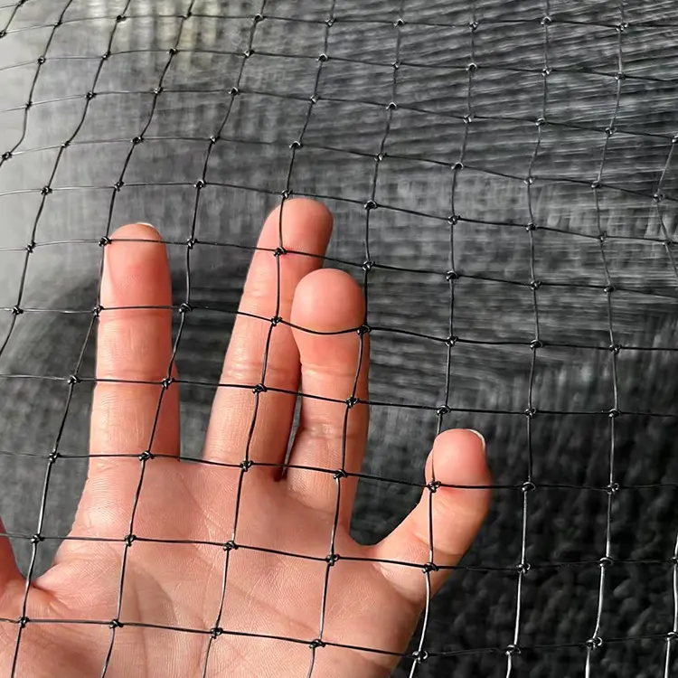 Apartment-grade wire-reinforced cat net installed on high-rise balcony, providing fall protection for urban pet owners