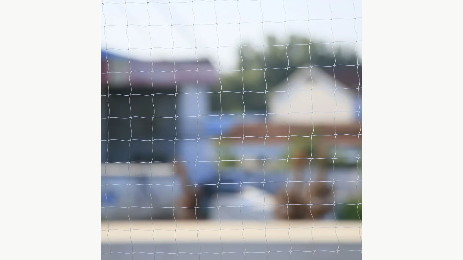 Transparent nylon cat net reference for a glazed window opening