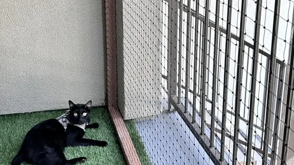 Black wire-reinforced cat net used as the exact product identity reference