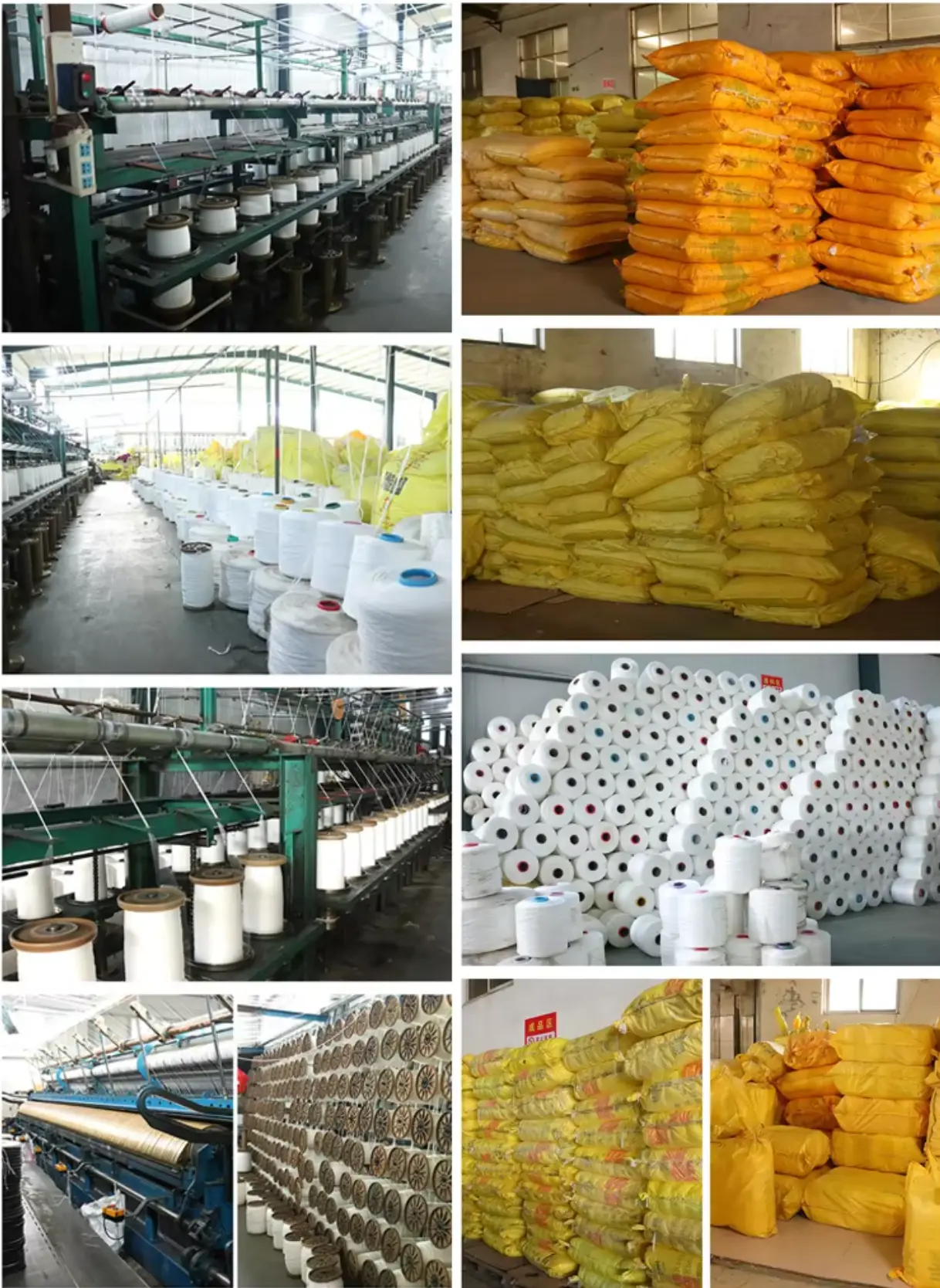 Warehouse shipping department preparing cat net orders for international delivery, boxes stacked for transport