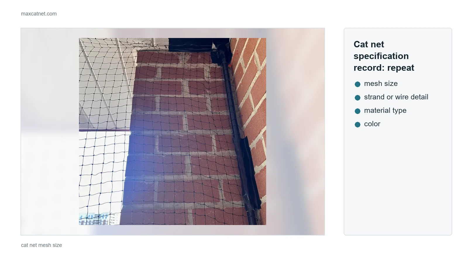 Cat net specification record for repeat orders