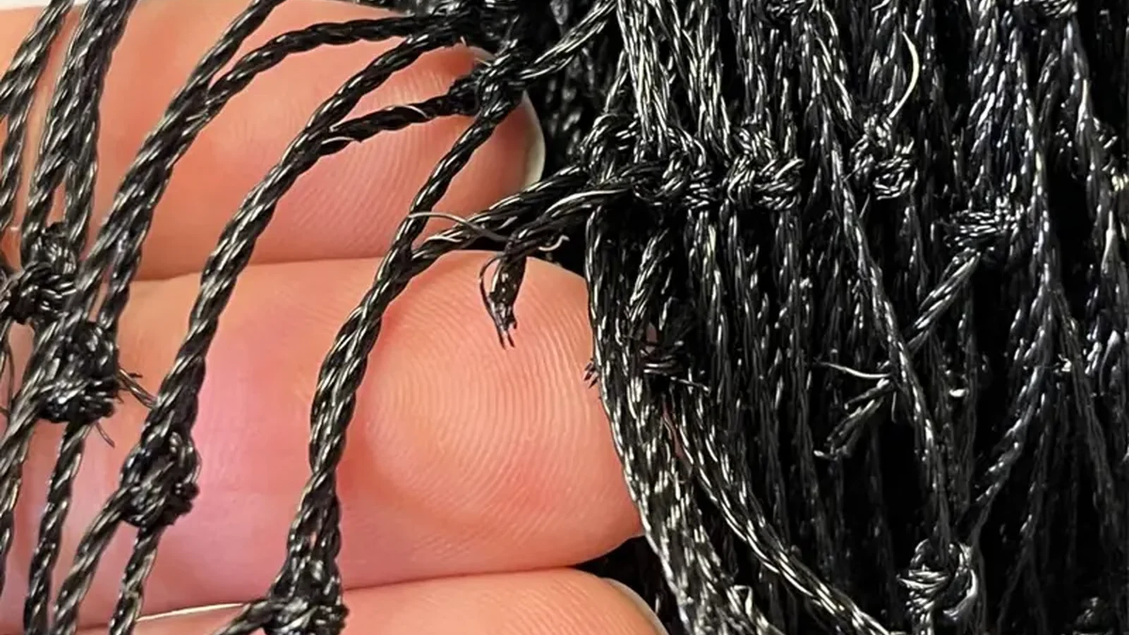 Black cat mesh detail for an outdoor boundary