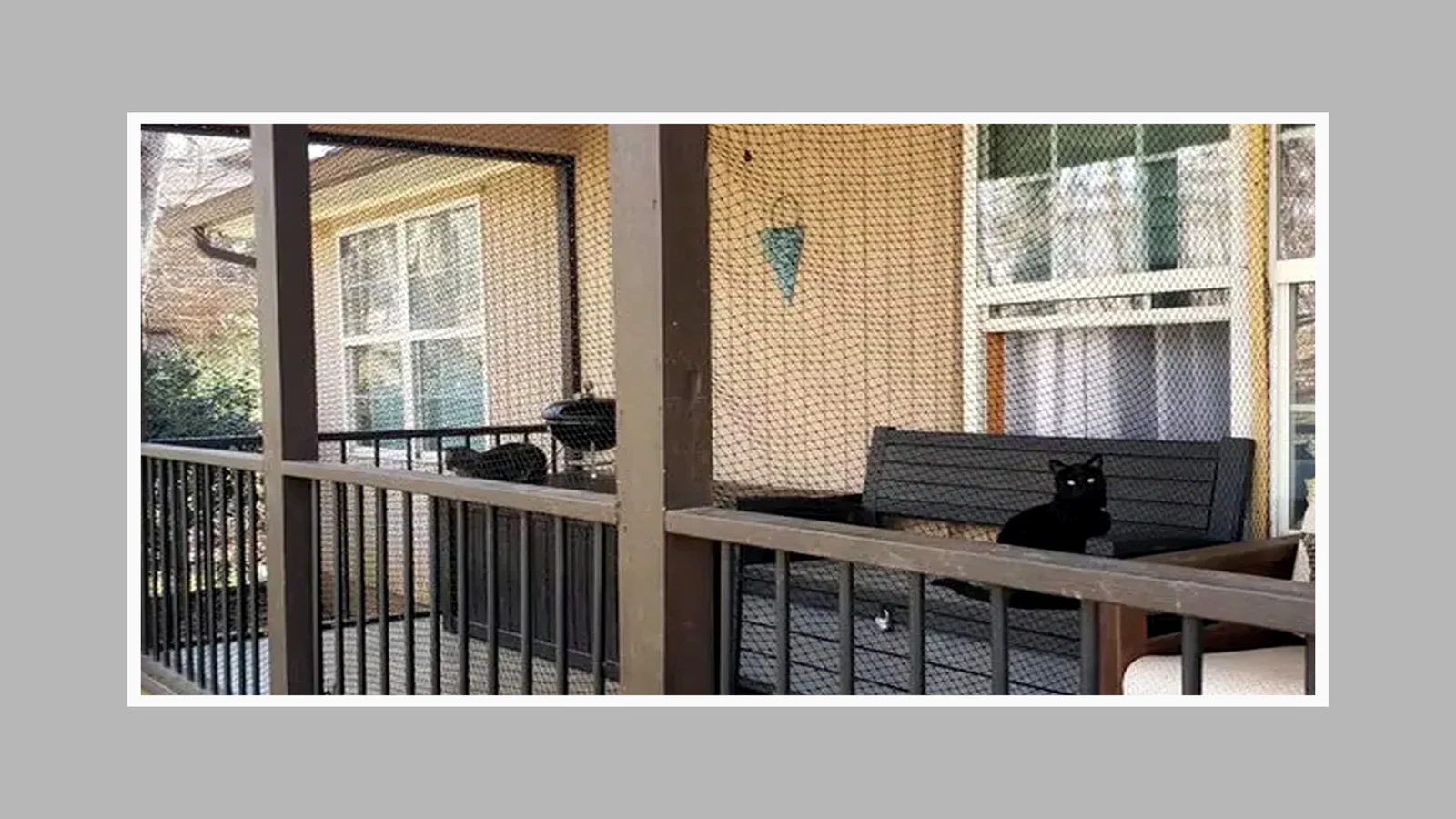 Cat net perimeter across a rooftop terrace