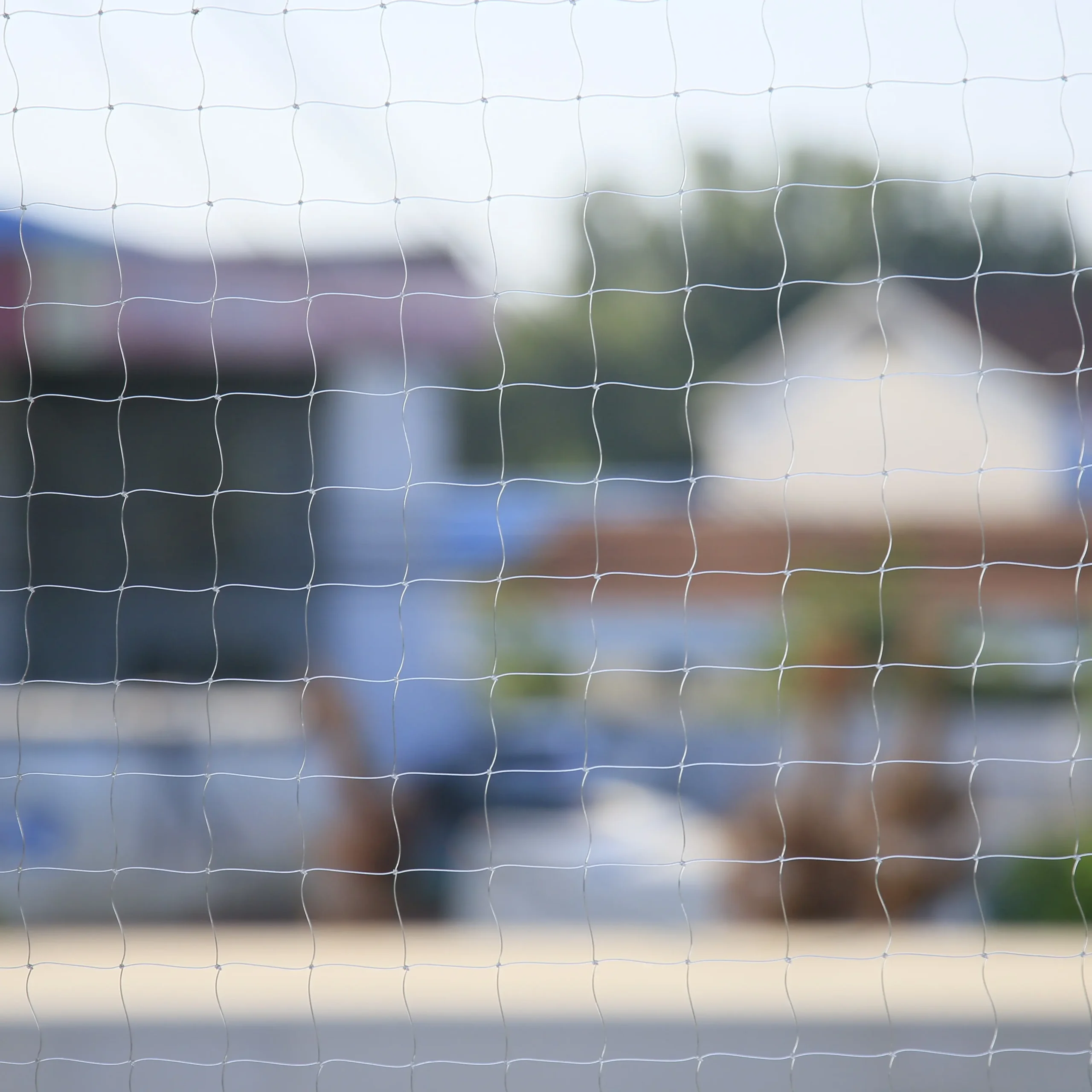 transparent cat net (1)