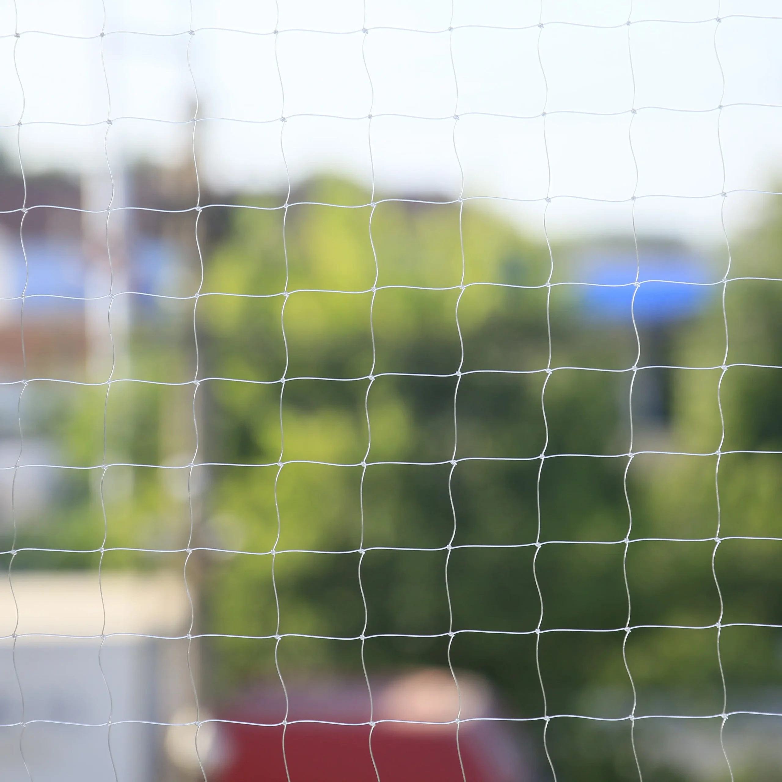 transparent cat net (2)