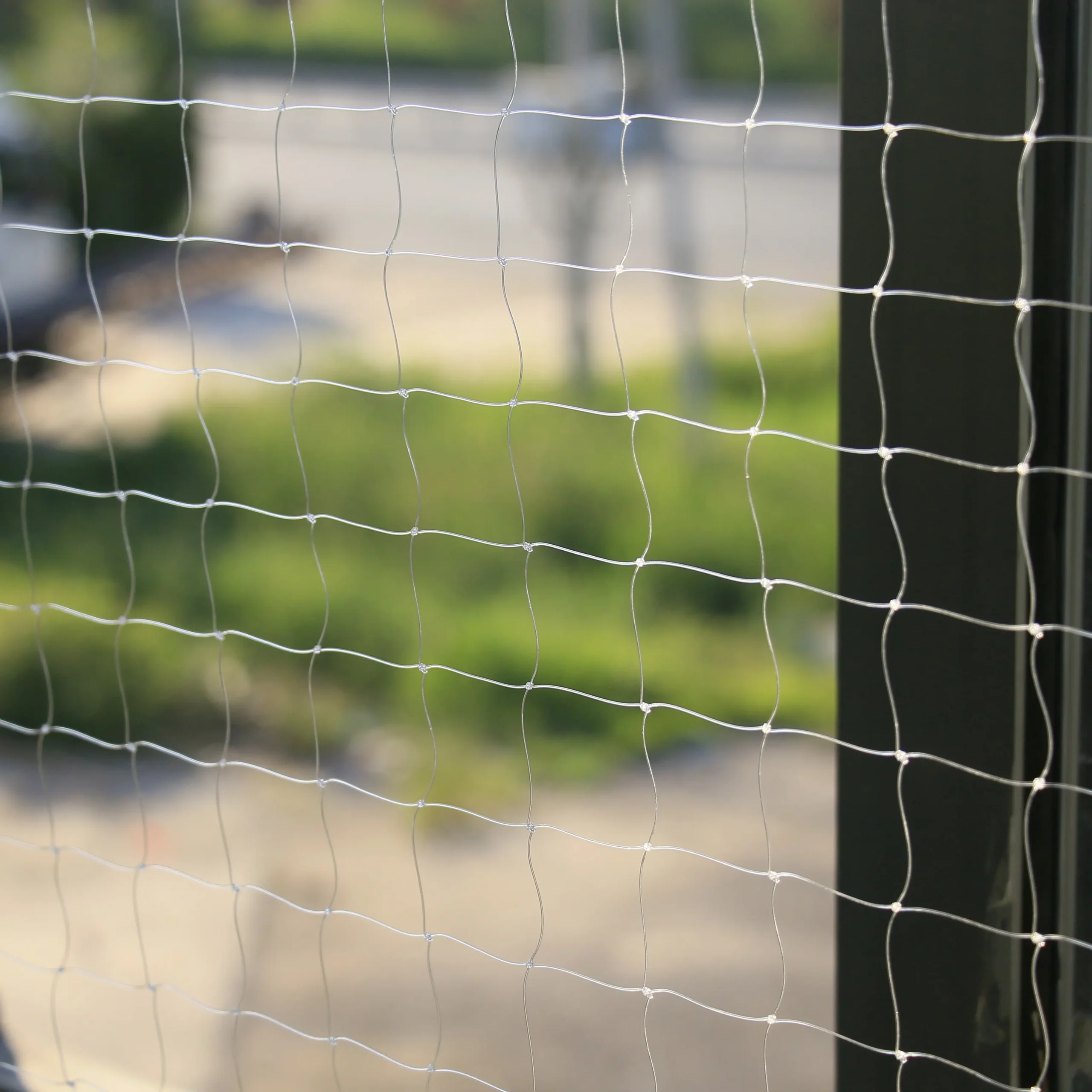 transparent cat net (5)