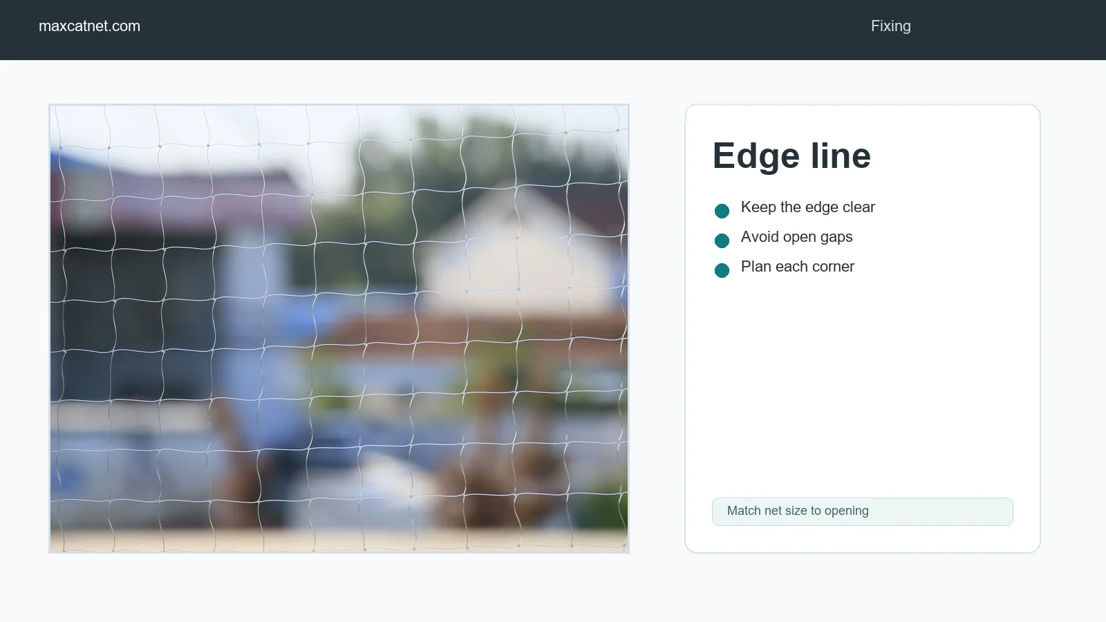 Transparent cat net edge line and corner fixing check