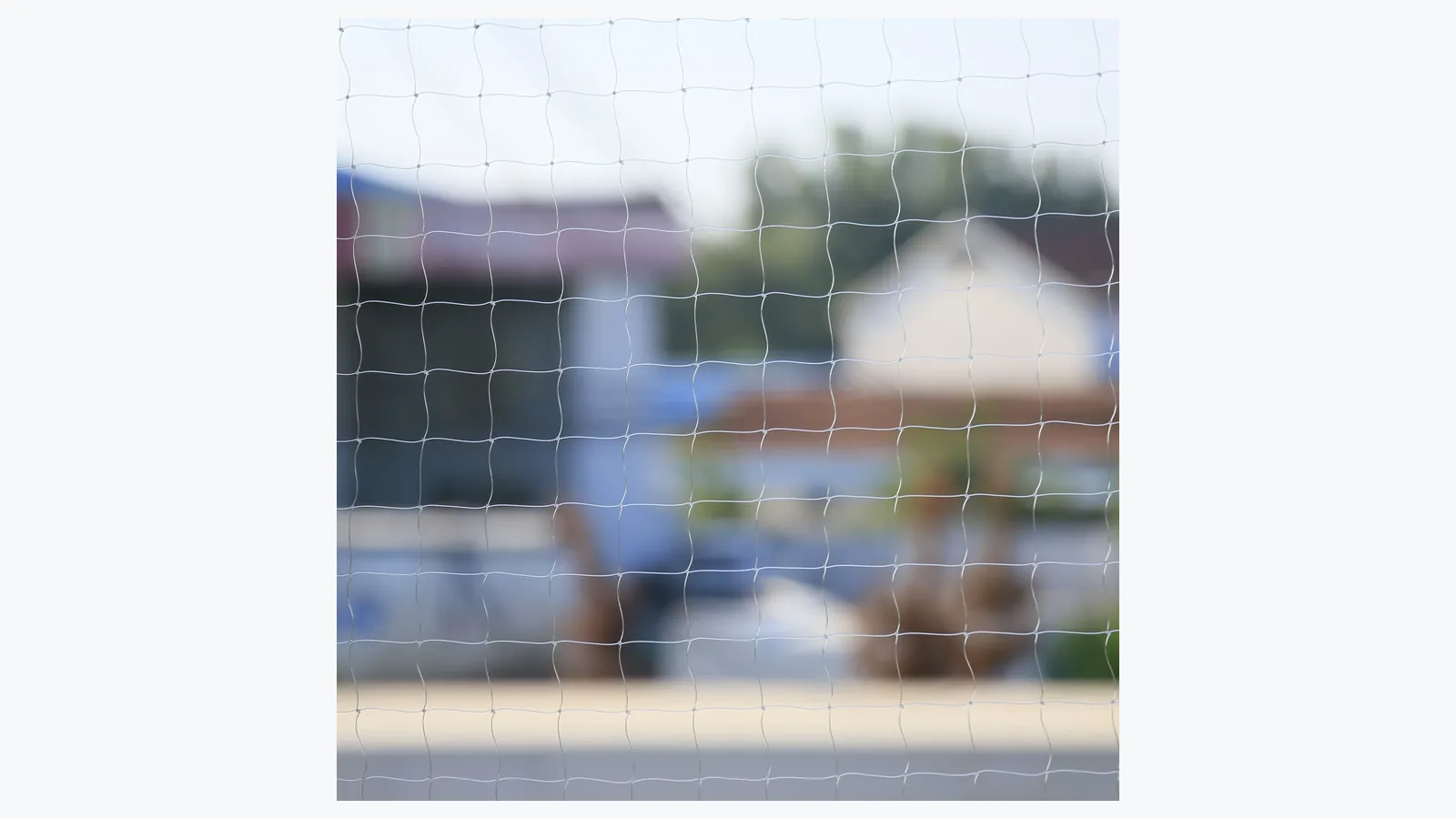 Transparent nylon cat net reference for an open-top balcony boundary review
