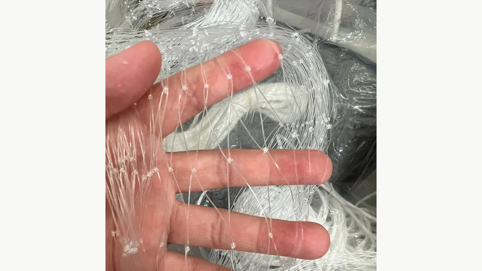 Transparent nylon cat net held against a hand to show the actual mesh material used for survey decisions