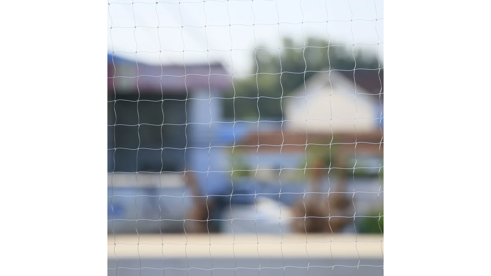 Close view of the exact transparent nylon cat-net mesh
