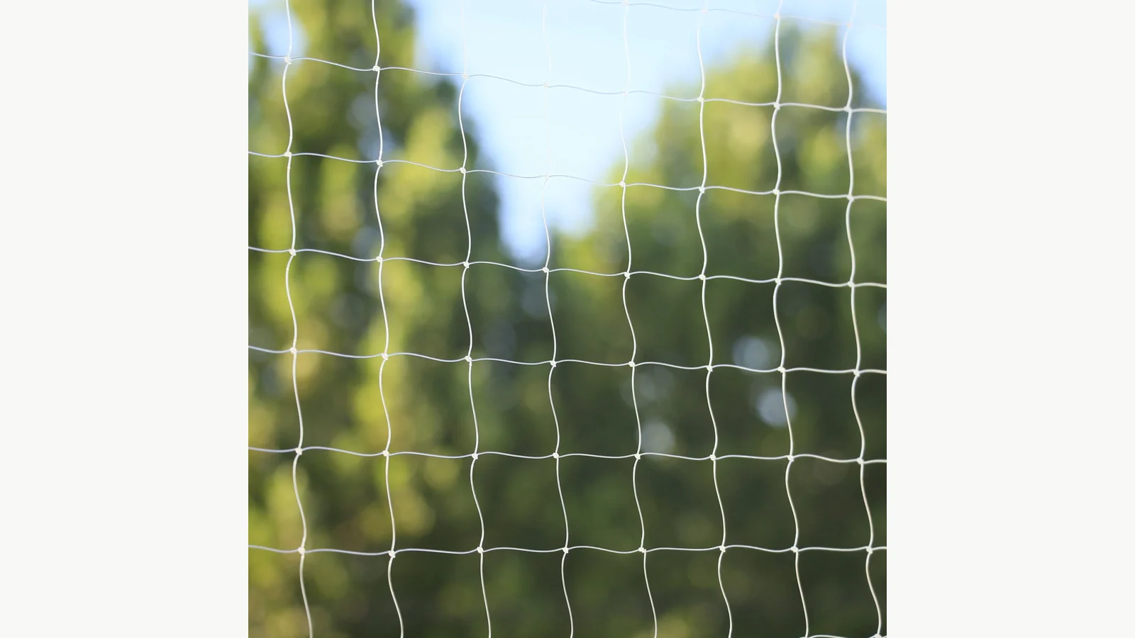 Transparent nylon cat net mesh viewed against a window background