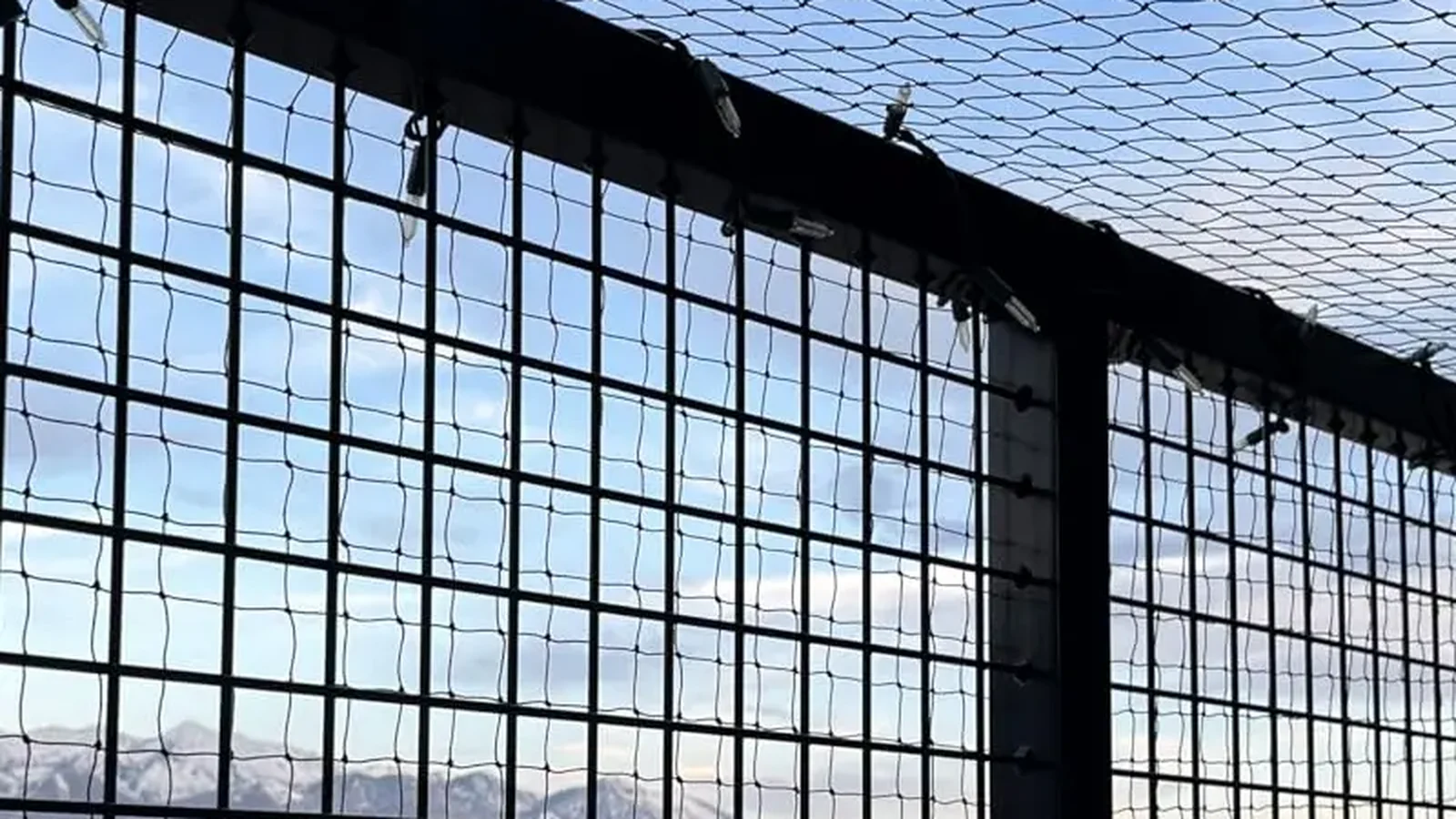 Black wire-reinforced cat net spanning adjoining overhead and vertical planes