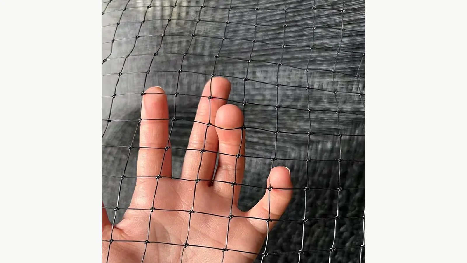 Close view of the listed wire-reinforced 30 mm mesh